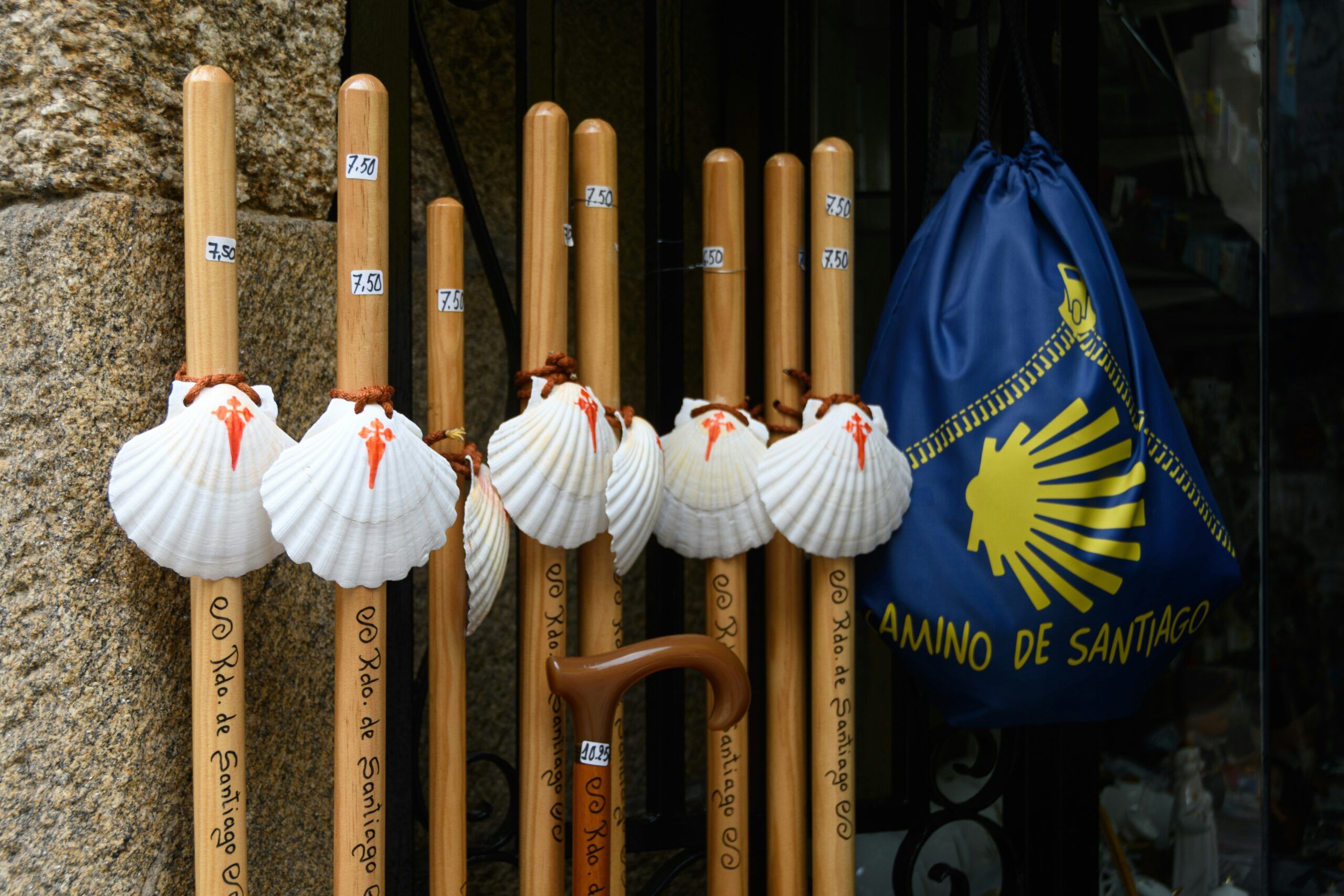 Camino de Santiago Francés