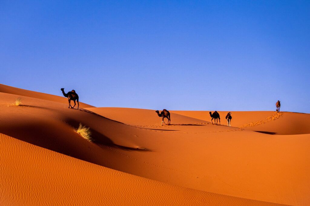 Marruecos